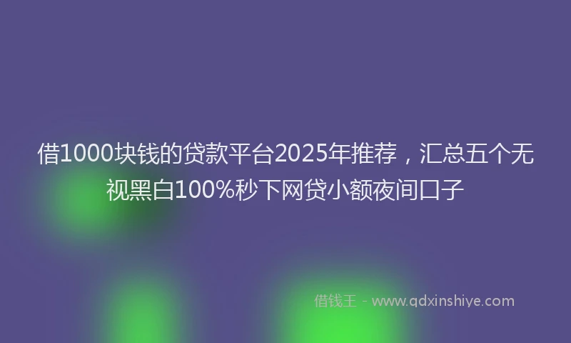 借1000块钱的贷款平台2025年推荐，汇总五个无视黑白100%秒下网贷小额夜间口子