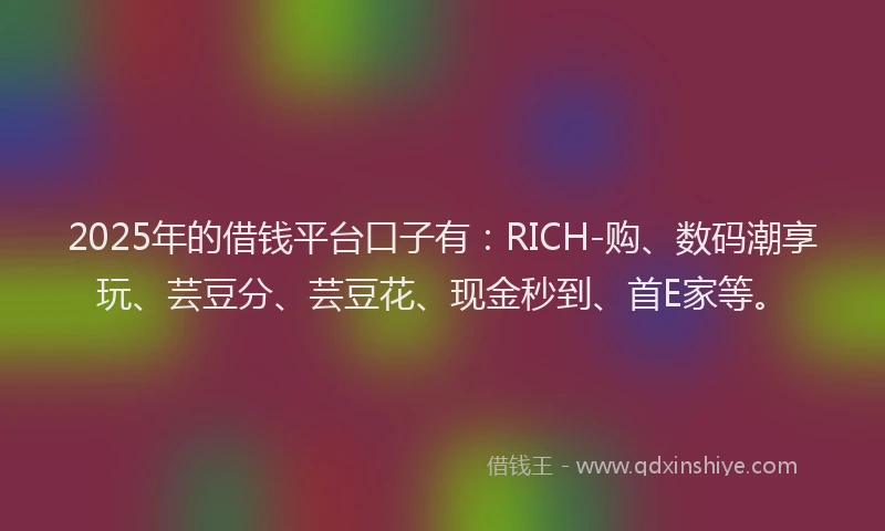 2025年的借钱平台口子有：RICH-购、数码潮享玩、芸豆分、芸豆花、现金秒到、首E家等。
