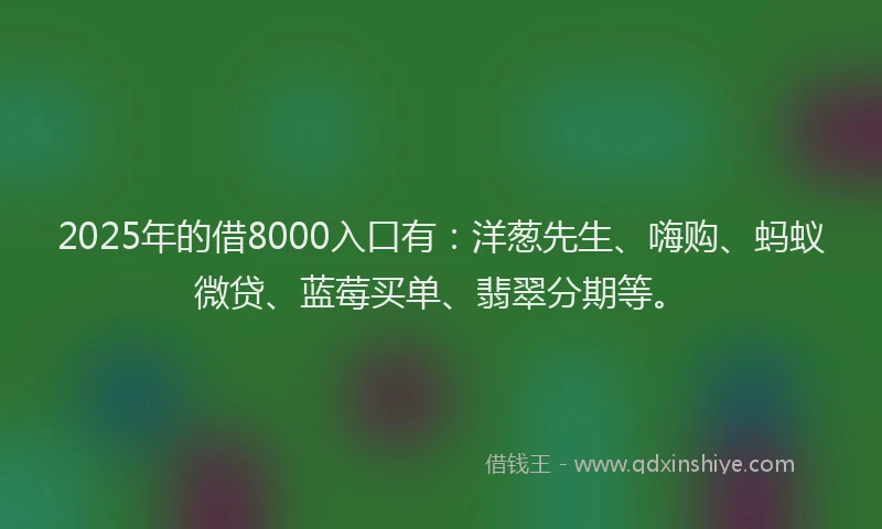 2025年的借8000入口有：洋葱先生、嗨购、蚂蚁微贷、蓝莓买单、翡翠分期等。