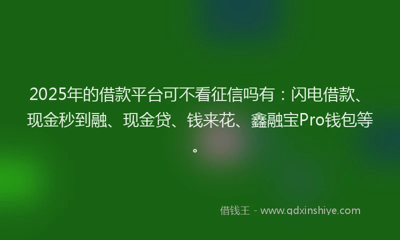 2025年的借款平台可不看征信吗有：闪电借款、现金秒到融、现金贷、钱来花、鑫融宝Pro钱包等。