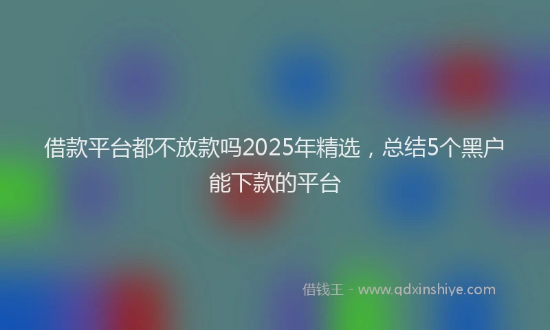 借款平台都不放款吗2025年精选，总结5个黑户能下款的平台