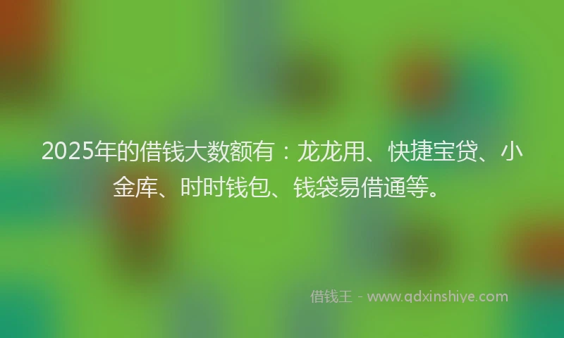 2025年的借钱大数额有：龙龙用、快捷宝贷、小金库、时时钱包、钱袋易借通等。