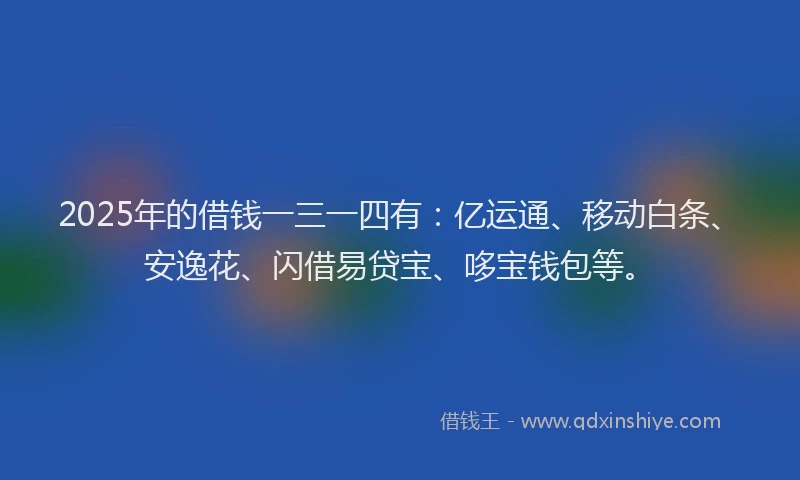 2025年的借钱一三一四有：亿运通、移动白条、安逸花、闪借易贷宝、哆宝钱包等。
