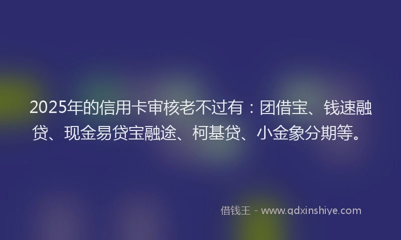 2025年的信用卡审核老不过有：团借宝、钱速融贷、现金易贷宝融途、柯基贷、小金象分期等。