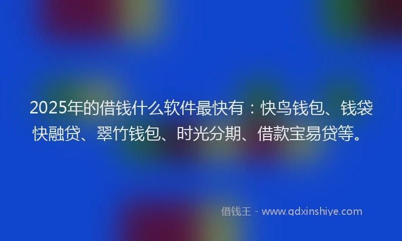 2025年的借钱什么软件最快有：快鸟钱包、钱袋快融贷、翠竹钱包、时光分期、借款宝易贷等。
