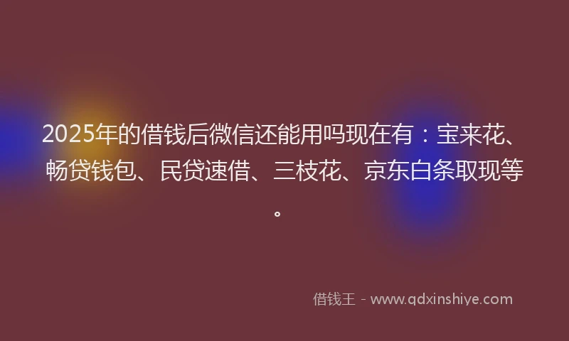 2025年的借钱后微信还能用吗现在有：宝来花、畅贷钱包、民贷速借、三枝花、京东白条取现等。