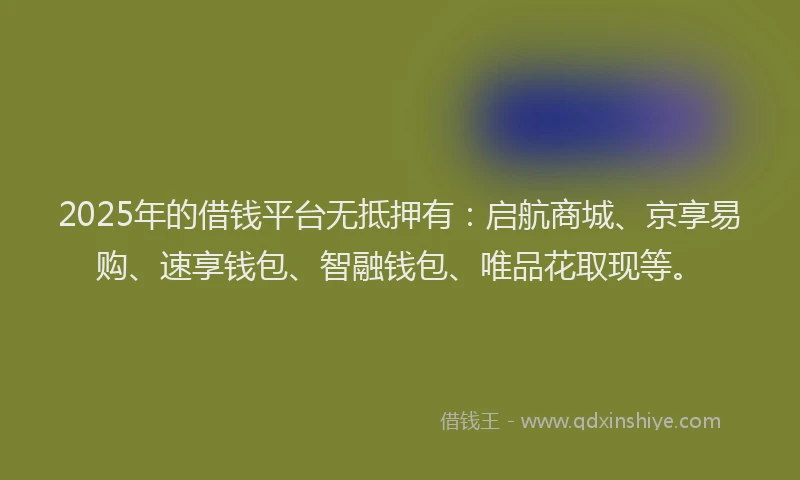 2025年的借钱平台无抵押有：启航商城、京享易购、速享钱包、智融钱包、唯品花取现等。