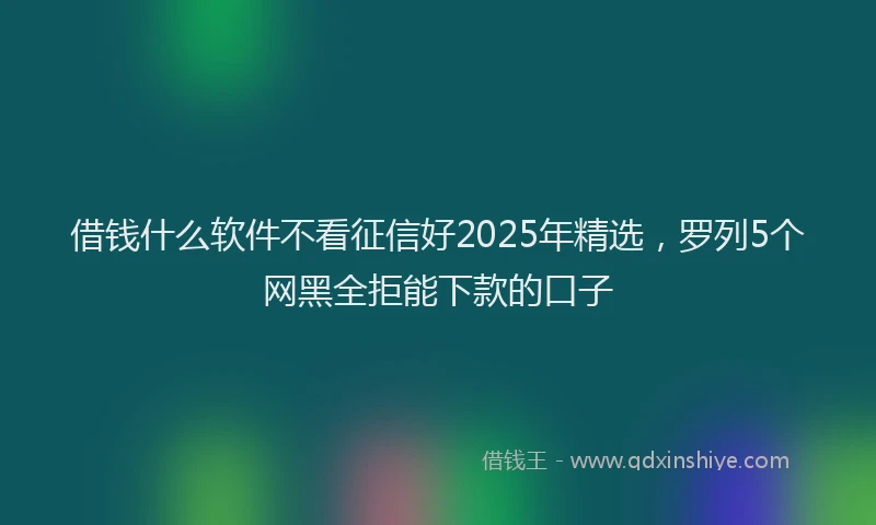 借钱什么软件不看征信好2025年精选,罗列5个网黑全拒能下款的口子