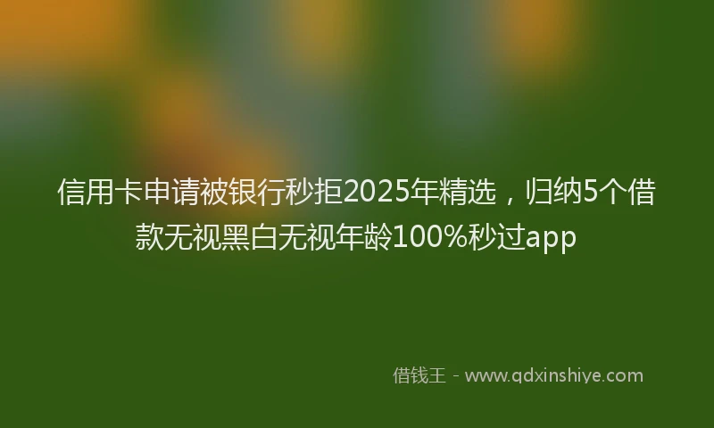 信用卡申请被银行秒拒2025年精选，归纳5个借款无视黑白无视年龄100%秒过app