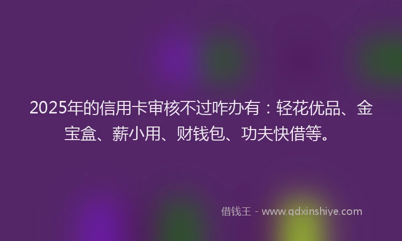 2025年的信用卡审核不过咋办有：轻花优品、金宝盒、薪小用、财钱包、功夫快借等。