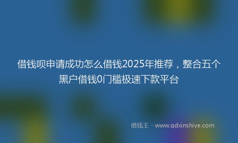 借钱呗申请成功怎么借钱2025年推荐,整合五个黑户借钱0门槛极速下款平台