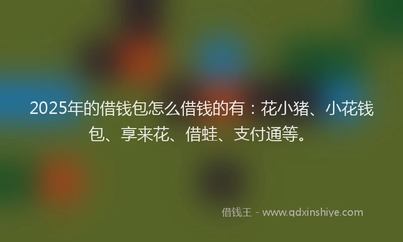 2025年的借钱包怎么借钱的有：花小猪、小花钱包、享来花、借蛙、支付通等。