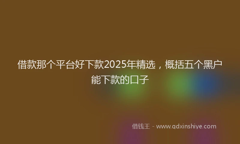借款那个平台好下款2025年精选，概括五个黑户能下款的口子