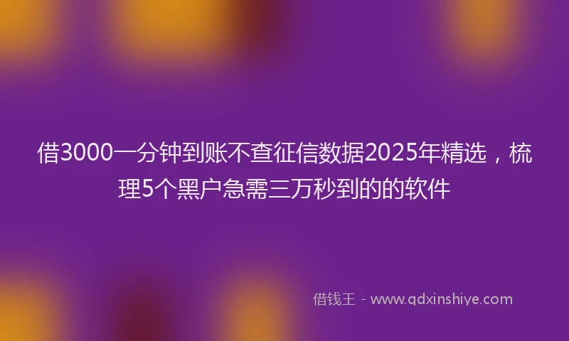 借3000一分钟到账不查征信数据2025年精选，梳理5个黑户急需三万秒到的的软件