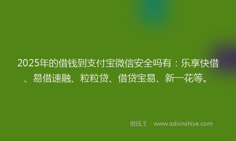 2025年的借钱到支付宝微信安全吗有：乐享快借、易借速融、粒粒贷、借贷宝易、新一花等。
