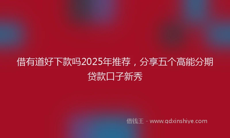 借有道好下款吗2025年推荐，分享五个高能分期贷款口子新秀