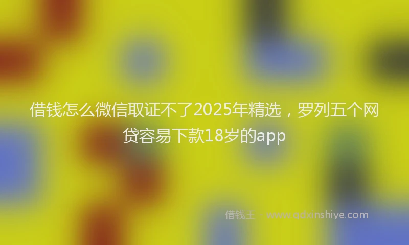 借钱怎么微信取证不了2025年精选，罗列五个网贷容易下款18岁的app
