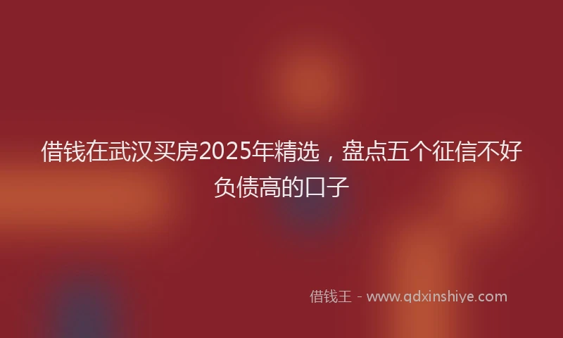 借钱在武汉买房2025年精选，盘点五个征信不好负债高的口子