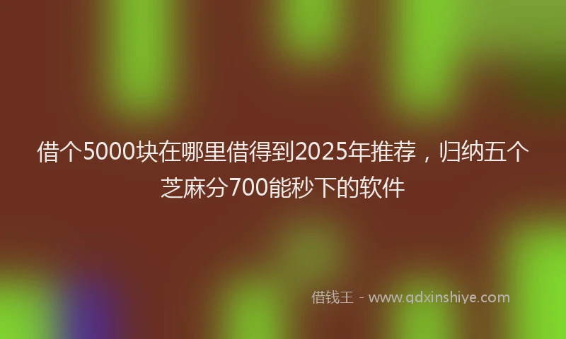 借个5000块在哪里借得到2025年推荐，归纳五个芝麻分700能秒下的软件