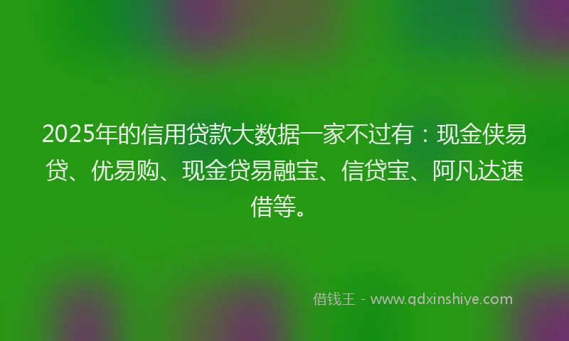 2025年的信用贷款大数据一家不过有：现金侠易贷、优易购、现金贷易融宝、信贷宝、阿凡达速借等。