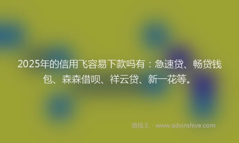 2025年的信用飞容易下款吗有：急速贷、畅贷钱包、森森借呗、祥云贷、新一花等。