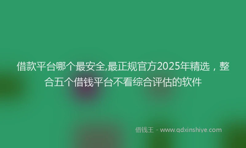 借款平台哪个最安全,最正规官方2025年精选，整合五个借钱平台不看综合评估的软件
