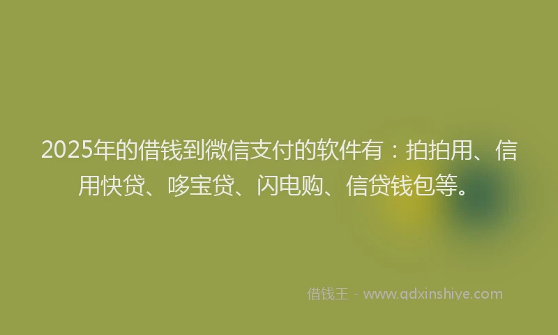 2025年的借钱到微信支付的软件有：拍拍用、信用快贷、哆宝贷、闪电购、信贷钱包等。