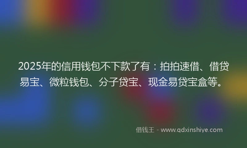 2025年的信用钱包不下款了有：拍拍速借、借贷易宝、微粒钱包、分子贷宝、现金易贷宝盒等。