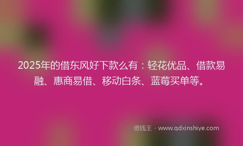 2025年的借东风好下款么有：轻花优品、借款易融、惠商易借、移动白条、蓝莓买单等。