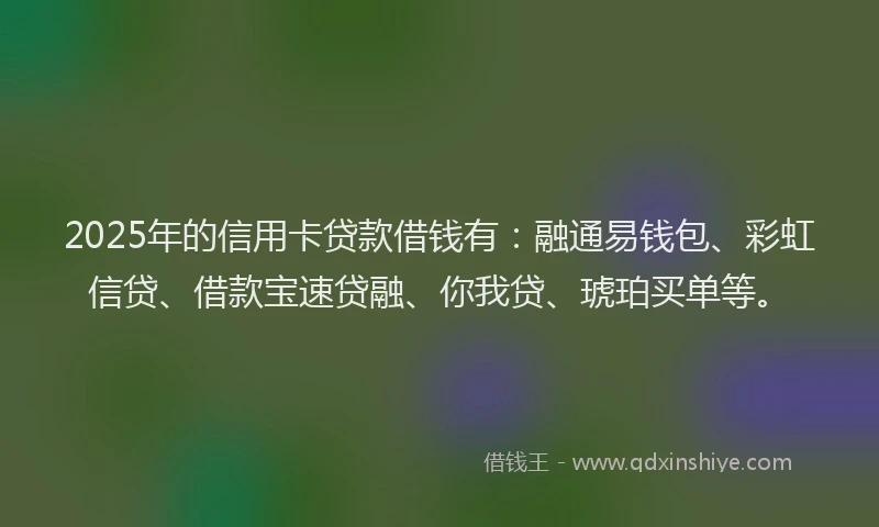 2025年的信用卡贷款借钱有:融通易钱包、彩虹信贷、借款宝速贷融、你我贷、琥珀买单等。