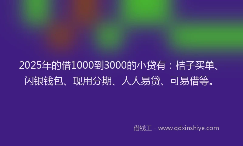 2025年的借1000到3000的小贷有：桔子买单、闪银钱包、现用分期、人人易贷、可易借等。