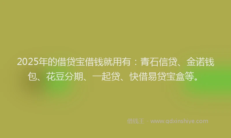 2025年的借贷宝借钱就用有：青石信贷、金诺钱包、花豆分期、一起贷、快借易贷宝盒等。