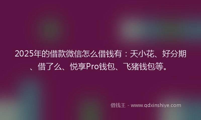 2025年的借款微信怎么借钱有：天小花、好分期、借了么、悦享Pro钱包、飞猪钱包等。