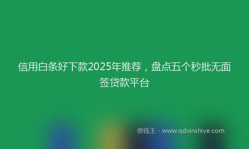 信用白条好下款2025年推荐，盘点五个秒批无面签贷款平台