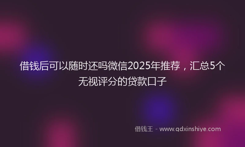 借钱后可以随时还吗微信2025年推荐，汇总5个无视评分的贷款口子