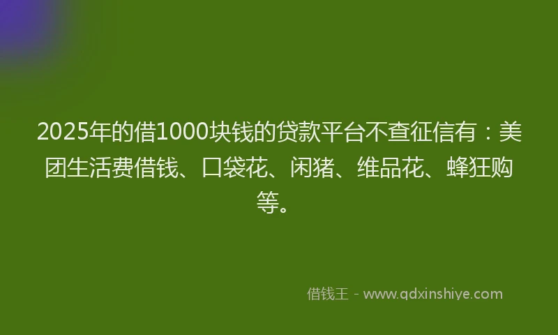 2025年的借1000块钱的贷款平台不查征信有：美团生活费借钱、口袋花、闲猪、维品花、蜂狂购等。