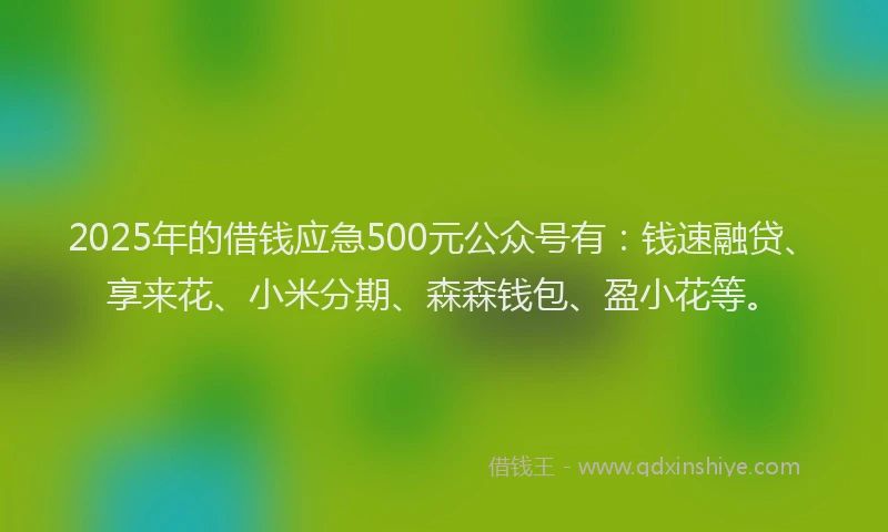2025年的借钱应急500元公众号有：钱速融贷、享来花、小米分期、森森钱包、盈小花等。