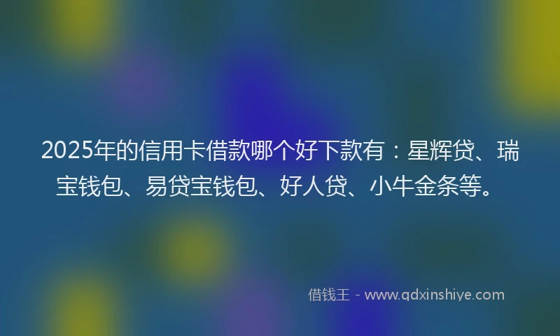 2025年的信用卡借款哪个好下款有：星辉贷、瑞宝钱包、易贷宝钱包、好人贷、小牛金条等。