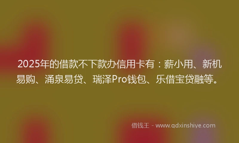 2025年的借款不下款办信用卡有：薪小用、新机易购、涌泉易贷、瑞泽Pro钱包、乐借宝贷融等。