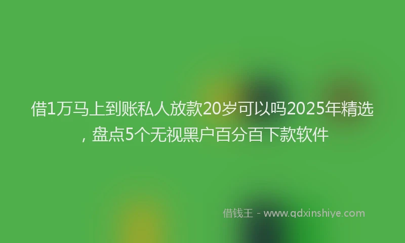 借1万马上到账私人放款20岁可以吗2025年精选，盘点5个无视黑户百分百下款软件