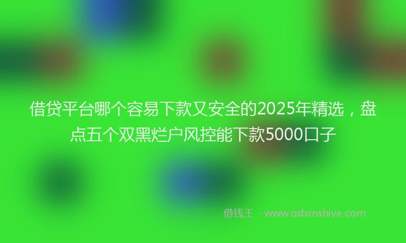 借贷平台哪个容易下款又安全的2025年精选，盘点五个双黑烂户风控能下款5000口子