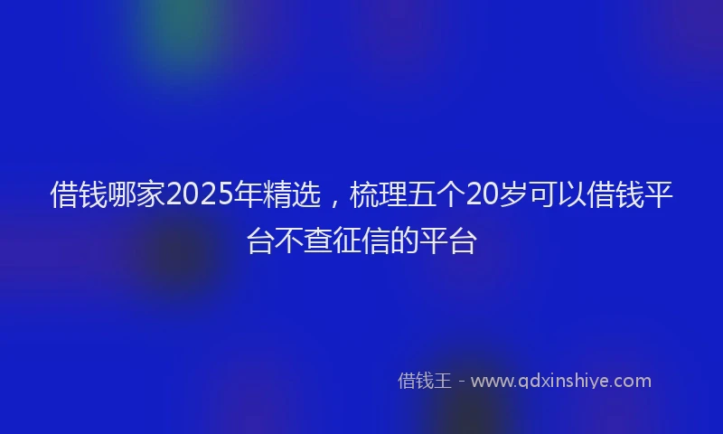 借钱哪家2025年精选，梳理五个20岁可以借钱平台不查征信的平台