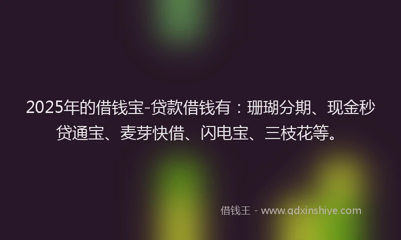 2025年的借钱宝-贷款借钱有：珊瑚分期、现金秒贷通宝、麦芽快借、闪电宝、三枝花等。