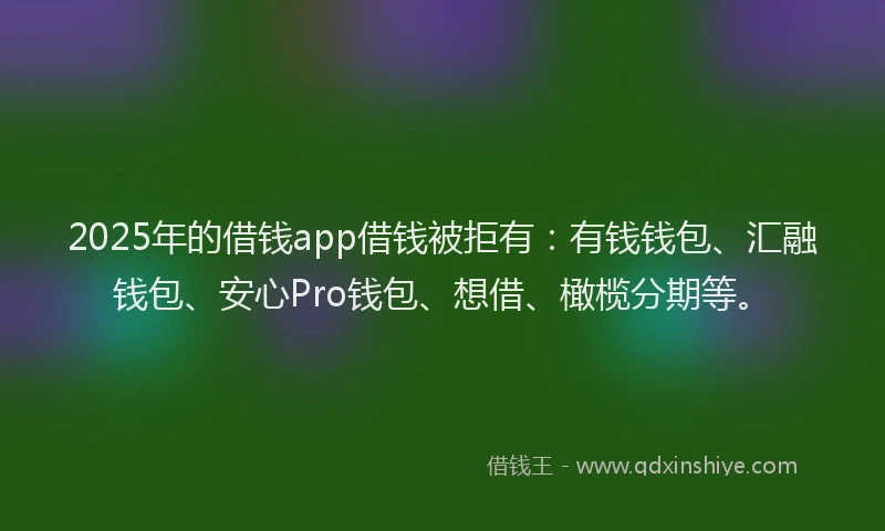2025年的借钱app借钱被拒有：有钱钱包、汇融钱包、安心Pro钱包、想借、橄榄分期等。