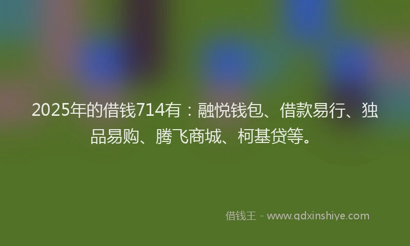 2025年的借钱714有：融悦钱包、借款易行、独品易购、腾飞商城、柯基贷等。