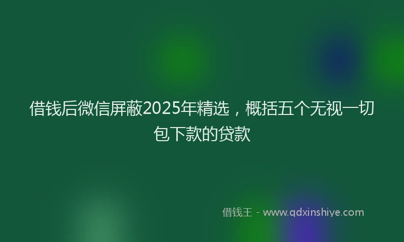 借钱后微信屏蔽2025年精选，概括五个无视一切包下款的贷款