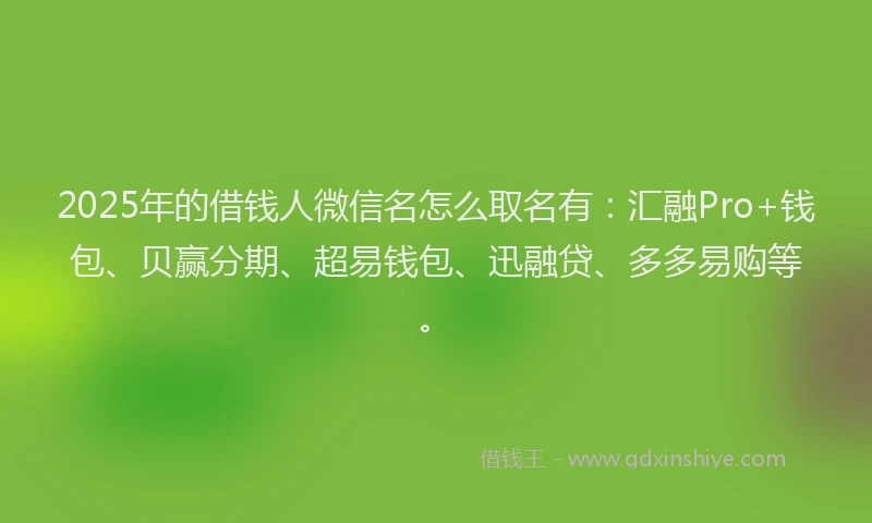 2025年的借钱人微信名怎么取名有:汇融Pro+钱包、贝赢分期、超易钱包、迅融贷、多多易购等。