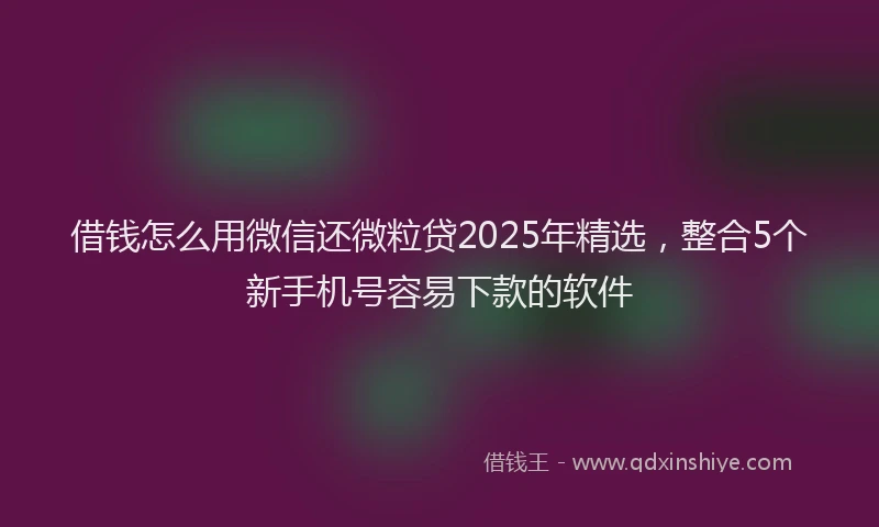 借钱怎么用微信还微粒贷2025年精选，整合5个新手机号容易下款的软件