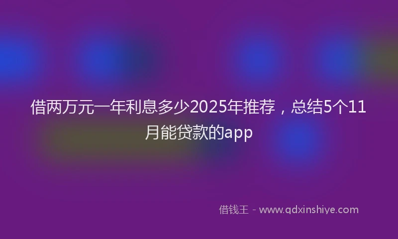借两万元一年利息多少2025年推荐，总结5个11月能贷款的app