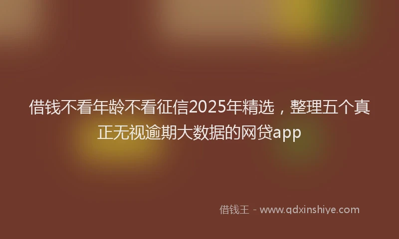 借钱不看年龄不看征信2025年精选，整理五个真正无视逾期大数据的网贷app
